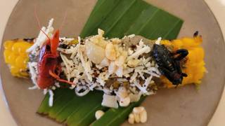 Menú degustación del "Festival de Bichos" foto