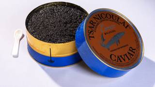 Tsar Nicoulai Caviar x Nisei Photo