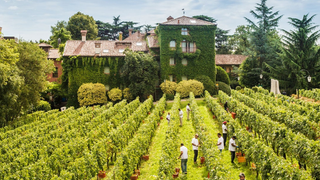 Bergamo, Lombardy Wine Dinner foto