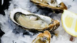 Crush'd Happy Hour - $1.50 Oysters! foto