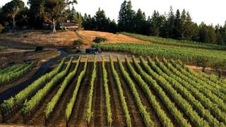 An evening with Peay Winery Photo