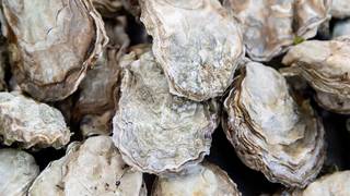 Oysters, Caviar and Champagne foto