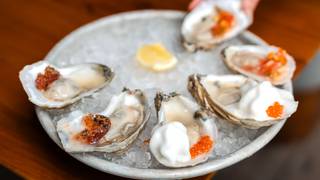 One Million Shucked — Join the Shellebration! foto