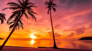 Caribbean Night foto