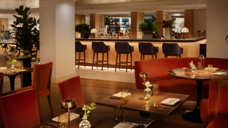 Dinner and Live Music at Costa Covo Osteria foto