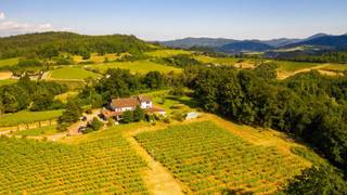 Il Poggio di Gavi Wine Dinner foto