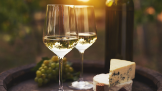 Italian Wine Dinner foto