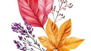 September Paint and Sip Photo
