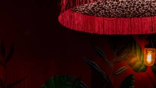 The Tequila Rooms, a Pop-Up by Coqbull Photo