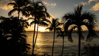 Island Foraged, Ocean Inspired: A Culinary Pop-Up foto