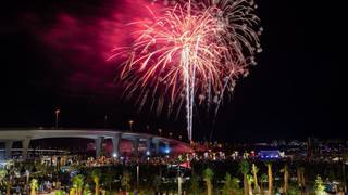 Firework Watch Party & Dinner foto
