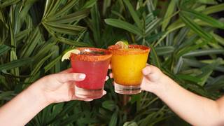 National Tequila Day Dinner Photo