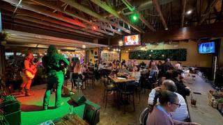 Live Music Photo