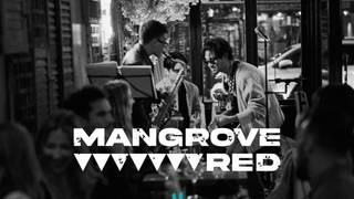 Mangrove Red foto