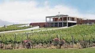 Argentine Wine Dinner with Monteviejo Wines foto