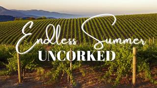 Endless Summer: Uncorked foto