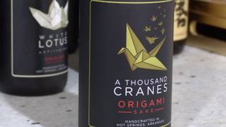 Origami Sake Dinner foto