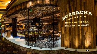 Tequila Tasting Experience at Borracha Photo