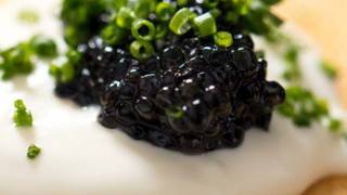 ✨ Caviar & Champagne Tasting Experience photo