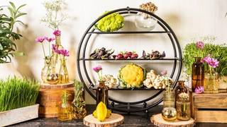Highland Harvest - Farm to Table Dinner Photo