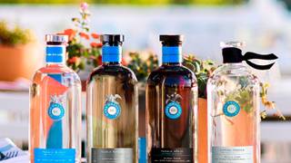 Casa Dragones Experience Tasting Photo