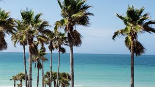 Best Happy Hour on Anna Maria Island foto
