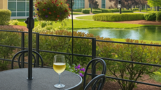 Wine Garden Party Photo
