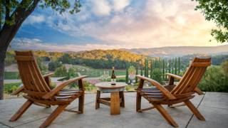 Stories From The Soil: Picnic With Lone Madrone foto