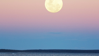 STURGEON MOON CELEBRATION foto