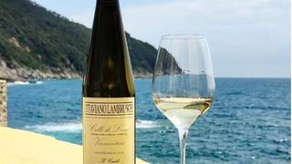 A Taste of Liguria with Edible Schoolyard NYC Photo