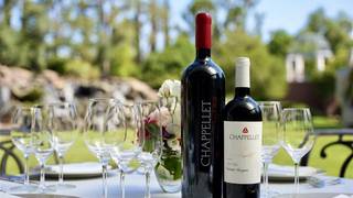 Chappellet Al Fresco Wine Dinner - Hamptons Patio Photo