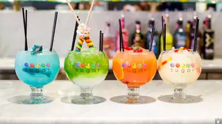 Sugar Factory - Tampaの写真