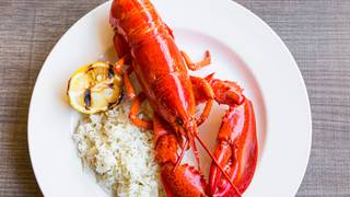 写真（Thursday Night Maine Lobster Special）