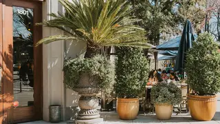 A photo of Zocalo Midtown restaurant