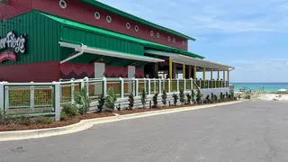 Foto von Señor Frog's - Panama City Beach Restaurant