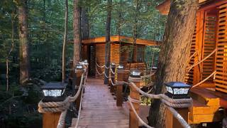 A photo of Tree Tops Restaurant restaurant