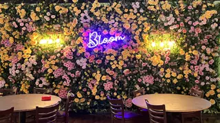 A photo of Bloom Botanical Bistro restaurant