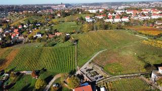 Sundowner mit 5 Gänge Menü im Weinberg Foto