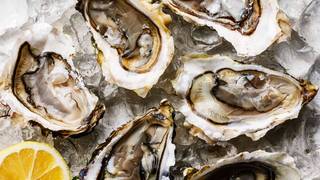 BUCK A SHUCK ALL DAY EVERY WEDNESDAY photo