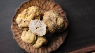 Trestle White Truffle Dinner feat. Urbani Truffles photo