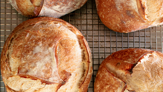 Breaking Bread Dinner Series: Veracruz Photo
