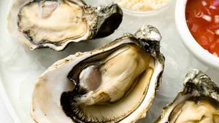 Happy Hour Menu - Buck A Shuck - Featured Oysters photo