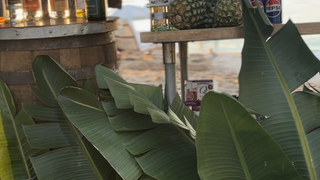 Havana Night at SOL by the Sea foto