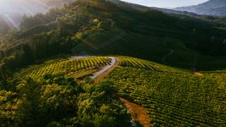 An Exploration of Napa Valley Mountain Wines photo