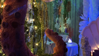 VIP Upgrade for 2 - Under the Sea - Weekdays photo