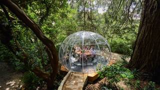 Immersive Garden Dome High Tea張相片