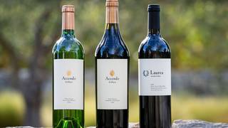 Dinner with Accendo Cellars photo