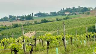 Emilia-Romagna Wine Dinner photo