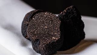 2025 Truffle Dinners - June foto