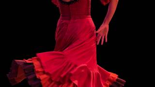 Dinner & Live Flamenco Performers Thursdays photo